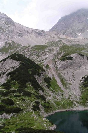 Click to see next picture