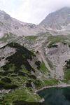 Click to see big picture (299x450 pixels; 31 KB)
