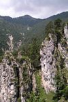 Click to see big picture (299x450 pixels; 43 KB)