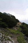Click to see big picture (299x450 pixels; 26 KB)